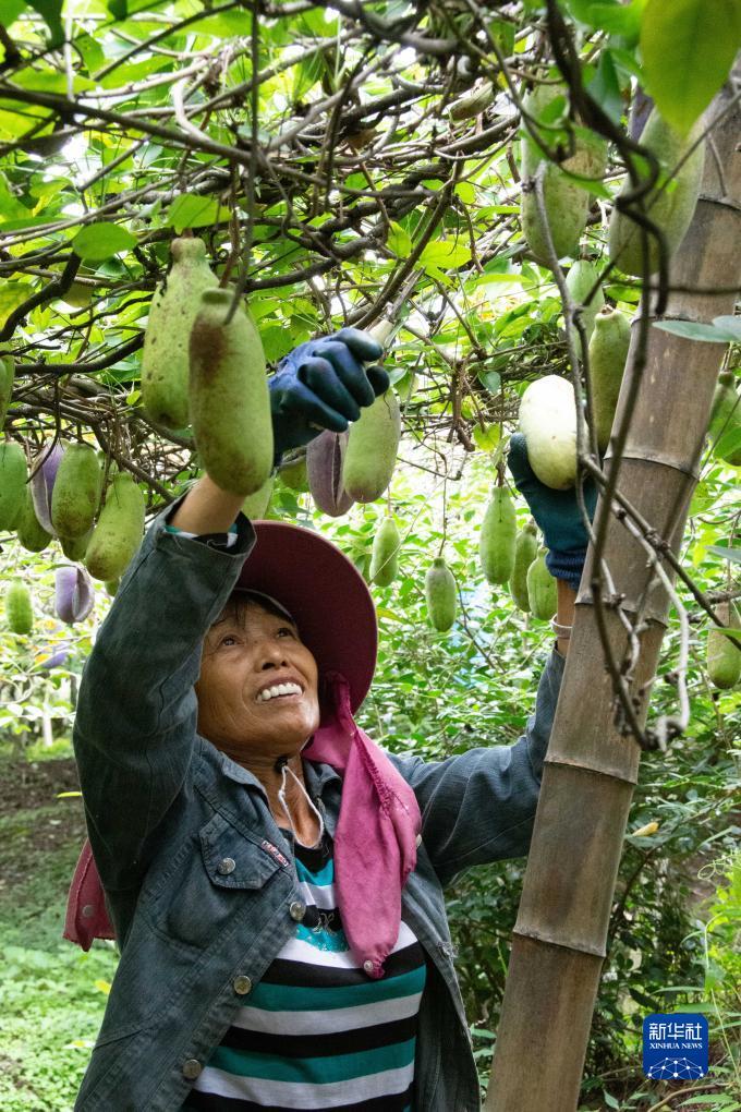 金沙电子书